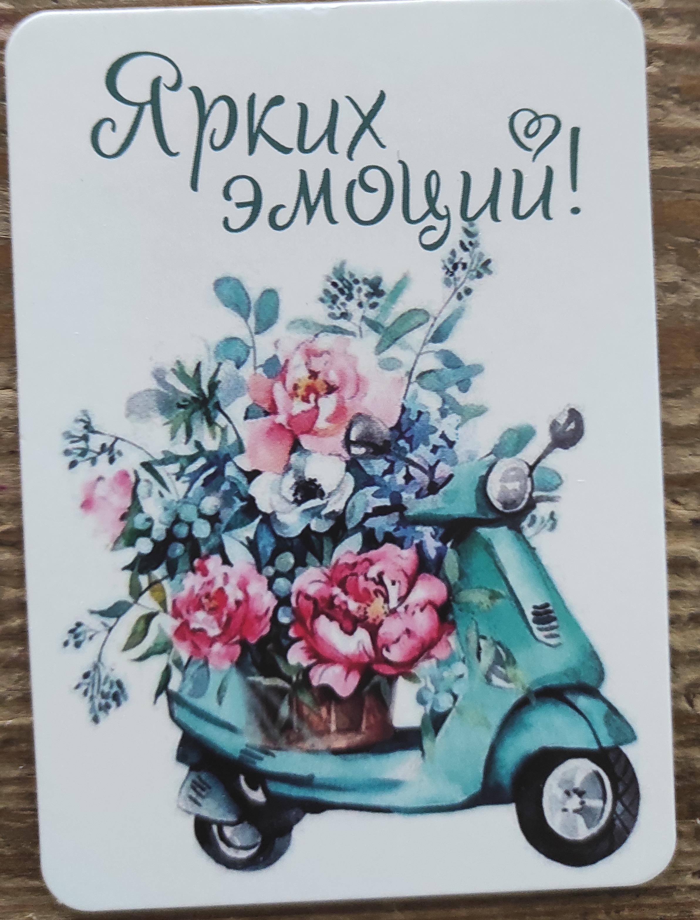 Бруно Армавир Заказать